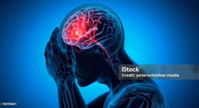 istockphoto-1927703857-1024x1024