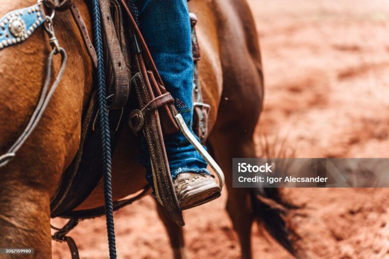 Close-up of boots in the horse's stirrup
